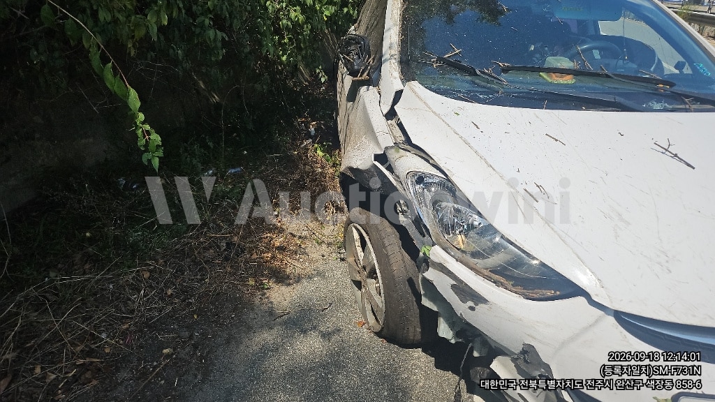 2013 Hyundai Avante — VIN KMHDG41DBDU815204