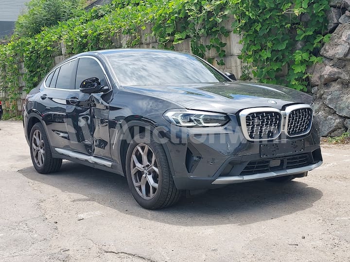 2024 BMW X4 (G02)