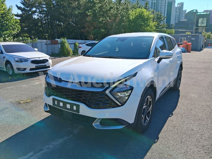 2022 Kia Sportage NQ5 (5th) — VIN KNAPT81BGNK094352