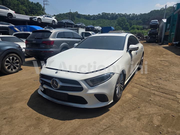 2019 Mercedes Benz CLS Class C257