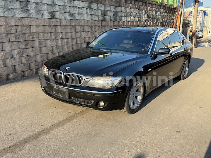 2006 BMW 7 Series (E65) — VIN WBAHN61096DT46407
