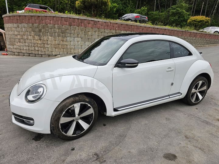 2015 Volkswagen The Beetle — VIN WVWZZZ16ZFM632773