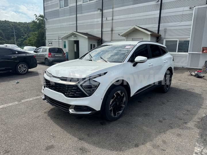 2024 Kia Sportage — VIN KNAPV81BGRK317557