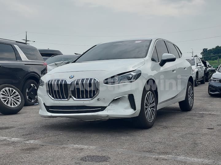 2024 BMW 2 Series (F44) — VIN WBA81BX01R7P02668
