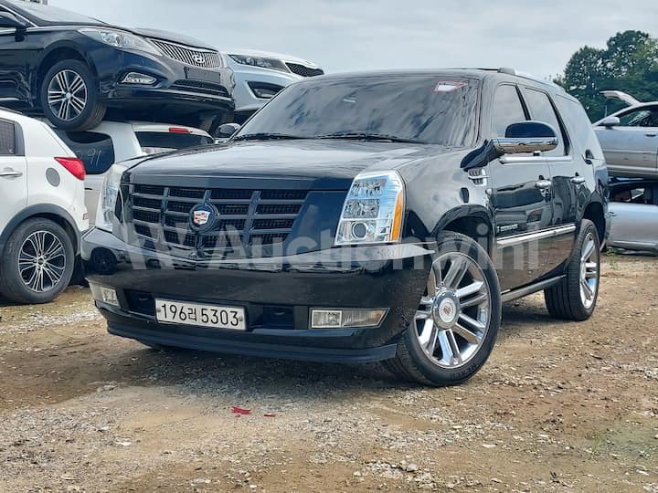 2009 Cadillac Escalade — VIN 1GYFK13259R119060