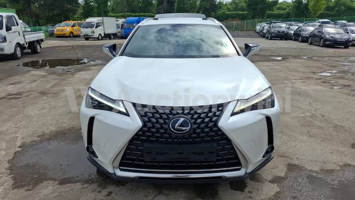 2022 Lexus UX250h