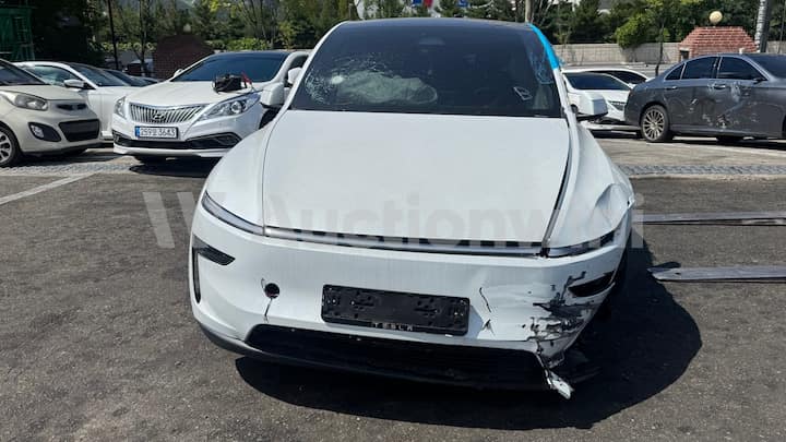 2025 Tesla Model Y Long Range — VIN LRWYGCEK5SC215964