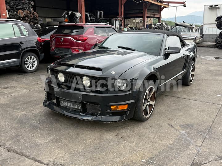 2006 Ford Mustang — VIN 1ZVHT84N865155774