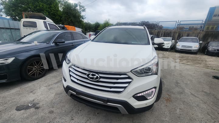 2014 Hyundai Maxcruz
