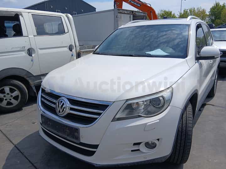 2010 Volkswagen Tiguan — VIN WVGZZZ5NZAW009135