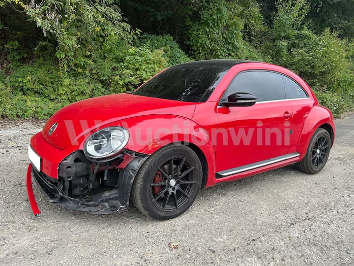 2014 Volkswagen The Beetle — VIN WVWZZZ16ZEM661318