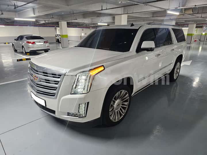 2017 Cadillac Escalade — VIN 1GYS48KJ6HR120954