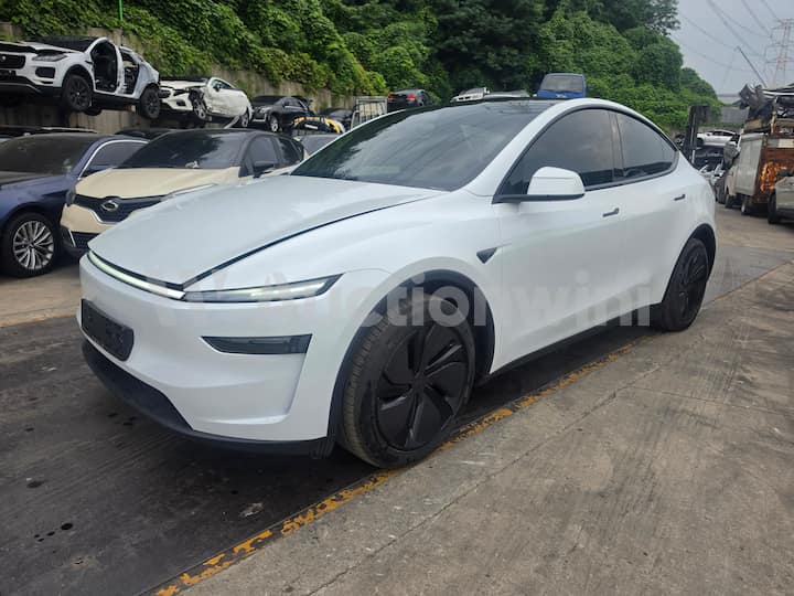 2025 Tesla MODEL Y RWD