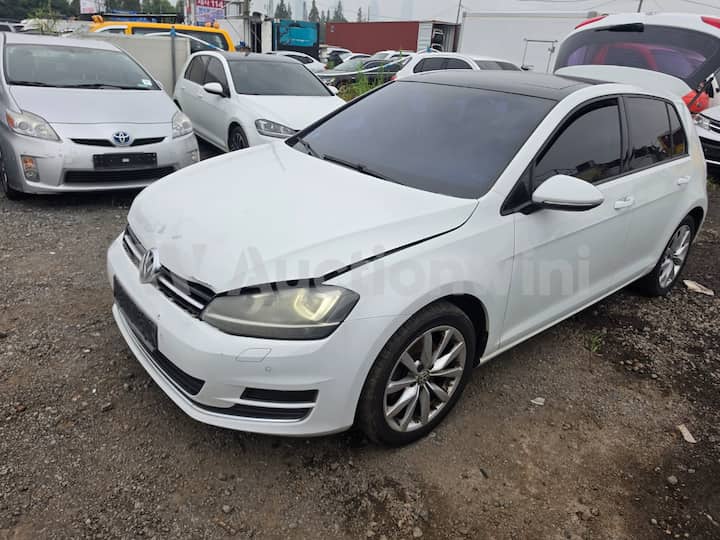 2014 Volkswagen Golf — VIN WVWZZZAUZEW396376
