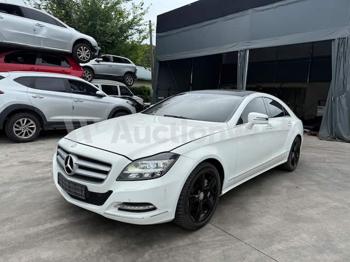 2013 Mercedes Benz CLS Class W218
